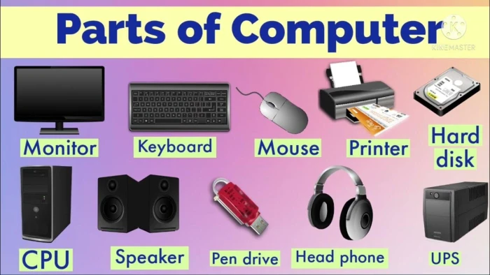 DIPLOMA IN INFORMATION TECHNOLOGY
